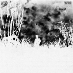 summrs - tale of da raven (prod. bapebrazy, wooskii2k) (all snippets combined)