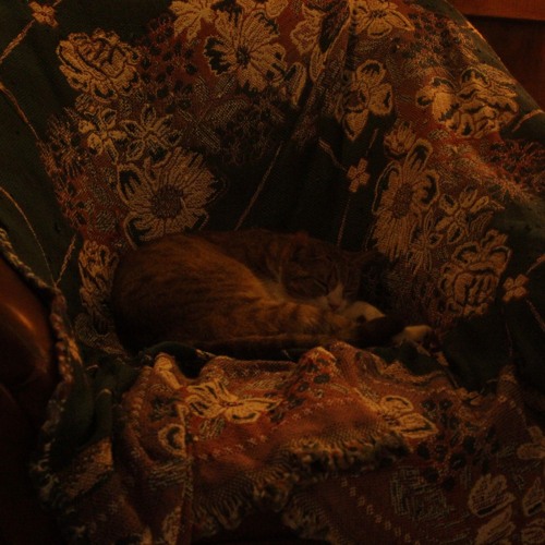 Người Tình Hà Nội