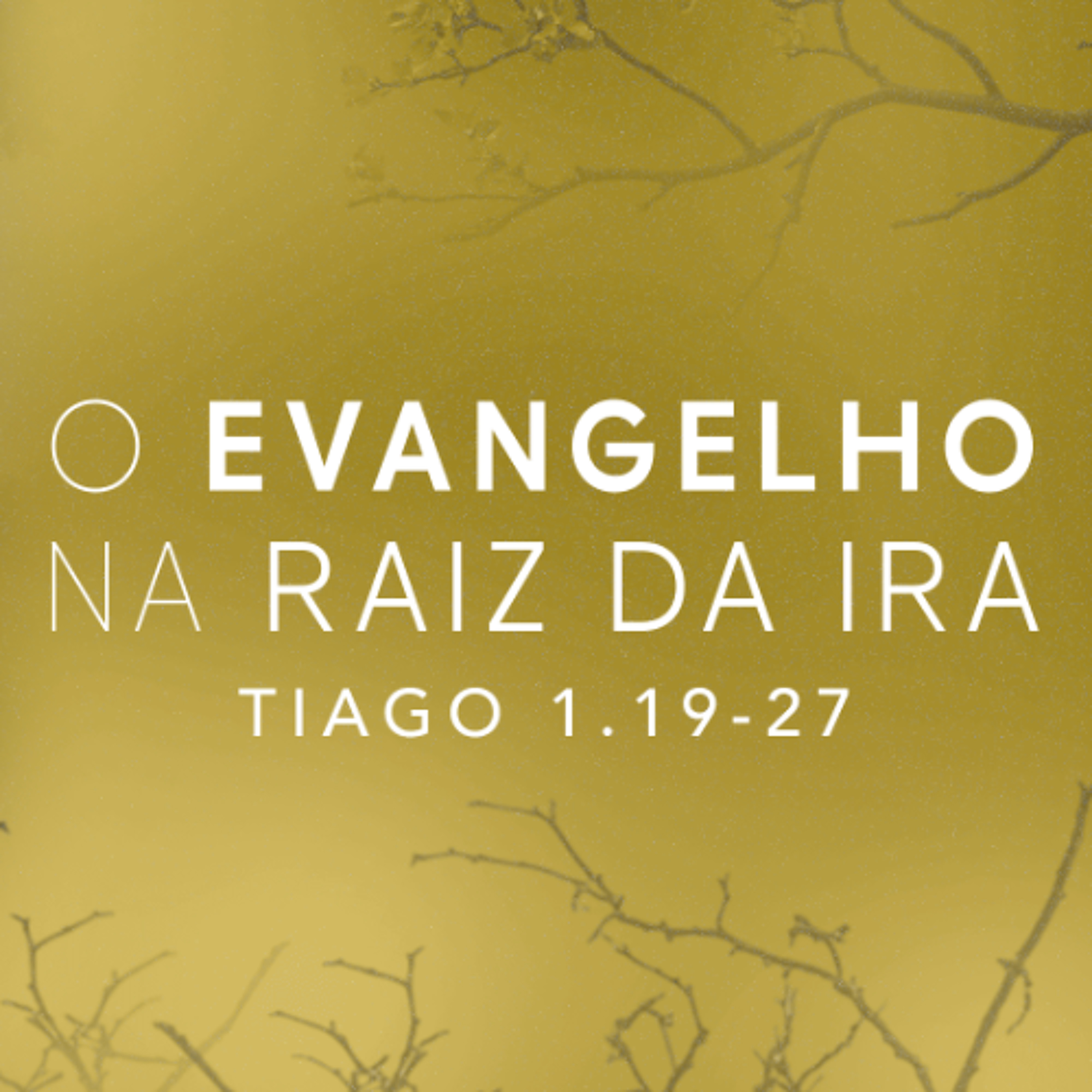 IBZonaSul