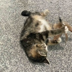 ウワサのあの子 베이스