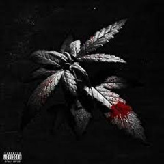 BloodonTheLeaves ft osama Tec