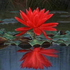 treason (prod. фрози)