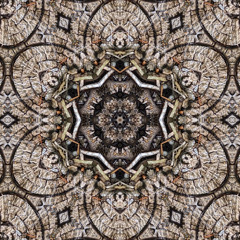 The Orchid Paradox - Jade Frog Temple