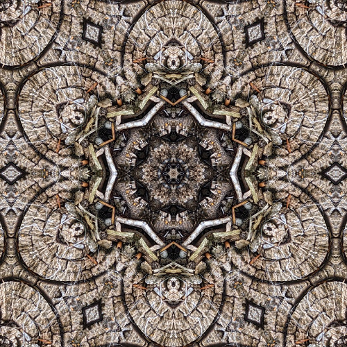 The Orchid Paradox - Jade Frog Temple