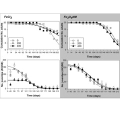 Impact of Iron on Aging in Enchytraeus crypticus