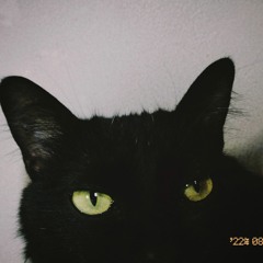 CASTLEBEAT - cinema (slow down/ reverb)