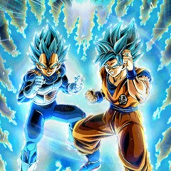 Dragon Ball Z Dokkan Battle ー LR AGL SSB Goku & SSB Vegeta Active Skill