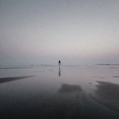 退潮之后 (After the Tide Goes Out)