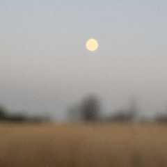 The Artist's Moon Phase