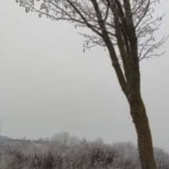 ·:*¨༺秋風入冬。więcęj - I 4。o 9。2 o o 4年