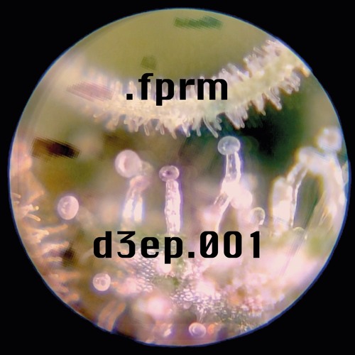 d3ep.001 - .fprm
