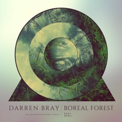 Darren Bray - Boreal Forest (Nehli Radio Edit) [Stellar Fountain]