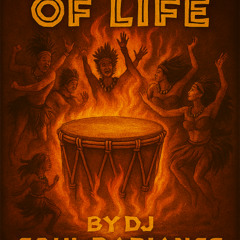 Drums Of Life