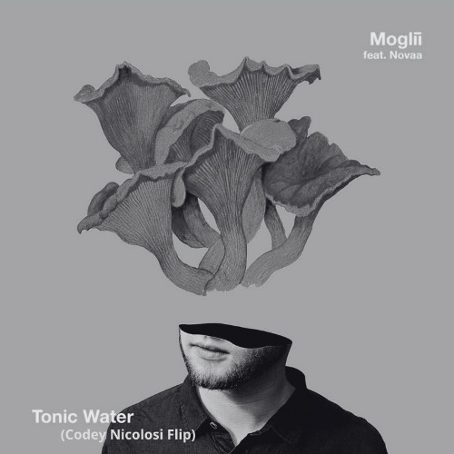 Moglii - Tonic Water (Codey Nicolosi Flip) [FREE DL]