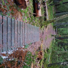 underjordisk demo - demo