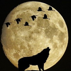 滿月 Manyue Medicine Mix #1: 狼 Wolf