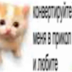 БЕСИТЬСЯ