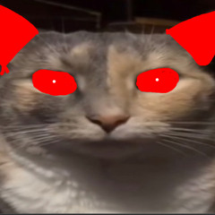 her head is soooo rolling!! love HER. (DJ PRECUM REMIX)