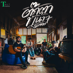 ตุ๊กตาเน่าๆ