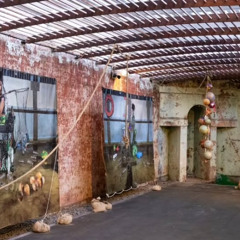 Wakabuma_Lift (excerpt)