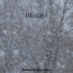 Blizzard