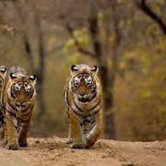 Beware of the Devil's Advocate 11/26/2023