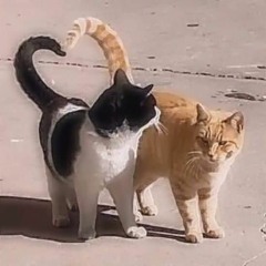 love, lust & loathing valentine's mix series