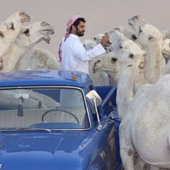 ماولد في ذرية اسماعيل من يشبهك أو يشبه احساسك