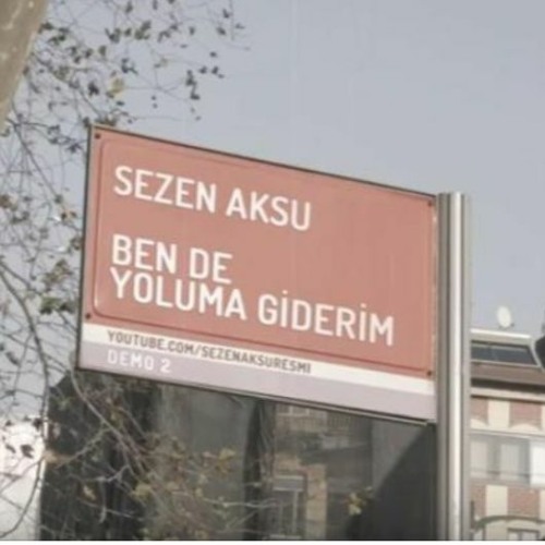 Sezen Aksu - Bende Yoluma Giderim (Omer Kavak & Ozgen Cavus Remix)