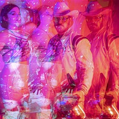 VOLK - I Fed Animals