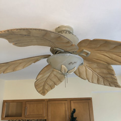 No, YOU’RE slowly going insane from mind numbing boredom and lack of social interaction