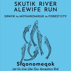 Tributaries Episode 8: Interview with Brian Altvater: SKUTIK RIVER ALEWIFE RUN