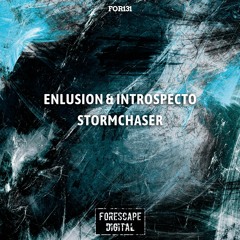 Enlusion & Introspecto — Stormchaser