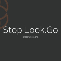Stop.Look.Go - Meditation w/ Kristi Nelson