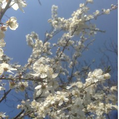 Hör auf deinen Bauch