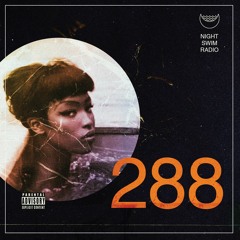 Night Swim Radio - Dive 288