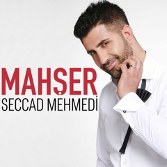 Seccad Mehmedi - Yillar Utansin