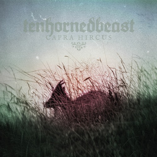 TENHORNEDBEAST Cup & Ring