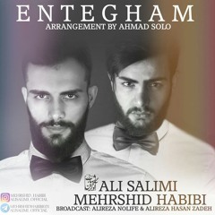 Mehrshid Habibi - Entegham (feat. Ali Salimi) | OFFICIAL TRACK مهرشید حبیبی - انتقام