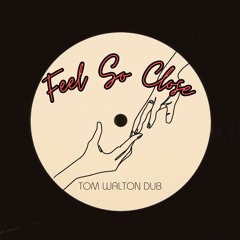 Calvin Harris - Feel So Close (Tom Walton Dub)