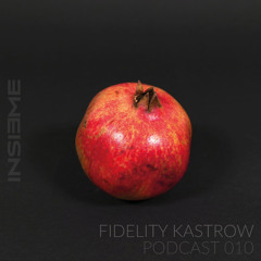 INSIEME Podcast 010 - Fidelity Kastrow