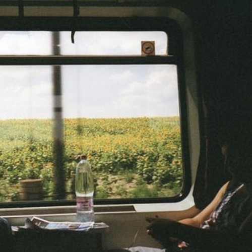 화요일까지 널 사랑해