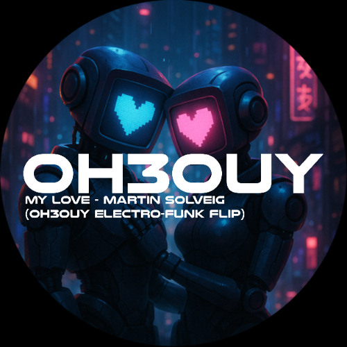 My Love - Martin Solveig (OH3OUY Electro-Funk Flip)