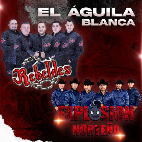 Stream El Águila Blanca by Los Nuevos Rebeldes | Listen online for free on  SoundCloud