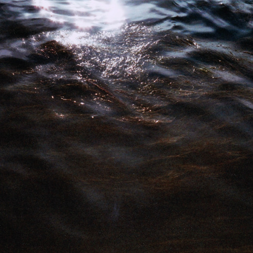 Pure Shores
