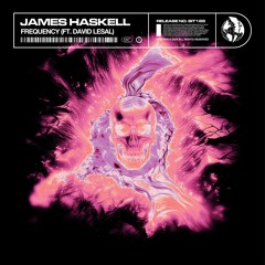 James Haskell - Frequency (ft. David LeSal)