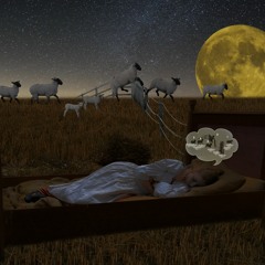 Jarisch Herxheimer Insomnia