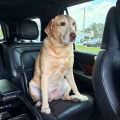 there’s no sign that the evils of this world are disappearing (one punch man) x milk cassette x.mp3