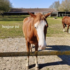 bonjour été
