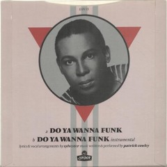 Do U Wanna Funk?